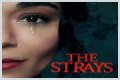 “The Strays” Is Set To Released On Netflix
