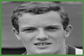 Tom Okker (Tennis Player) - Age, Birthday, Bio, Facts, Family, Net Worth, Height & More